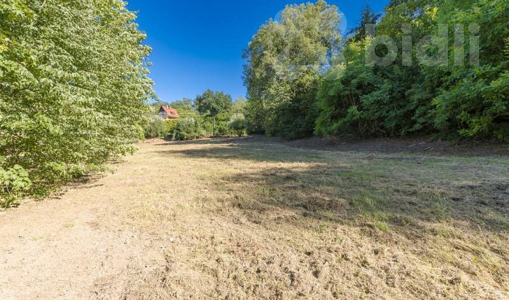 Prodej stavebního pozemku 8 271 m², Hradištko – náhled fotky 8