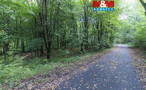 Prodej zahrady 10 316 m², Kostelec nad Černými lesy, okres Praha-východ