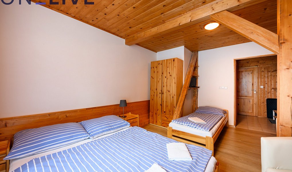 Prodej komerčního objektu (jiného typu) 500 m², Železná Ruda – náhled fotky 9