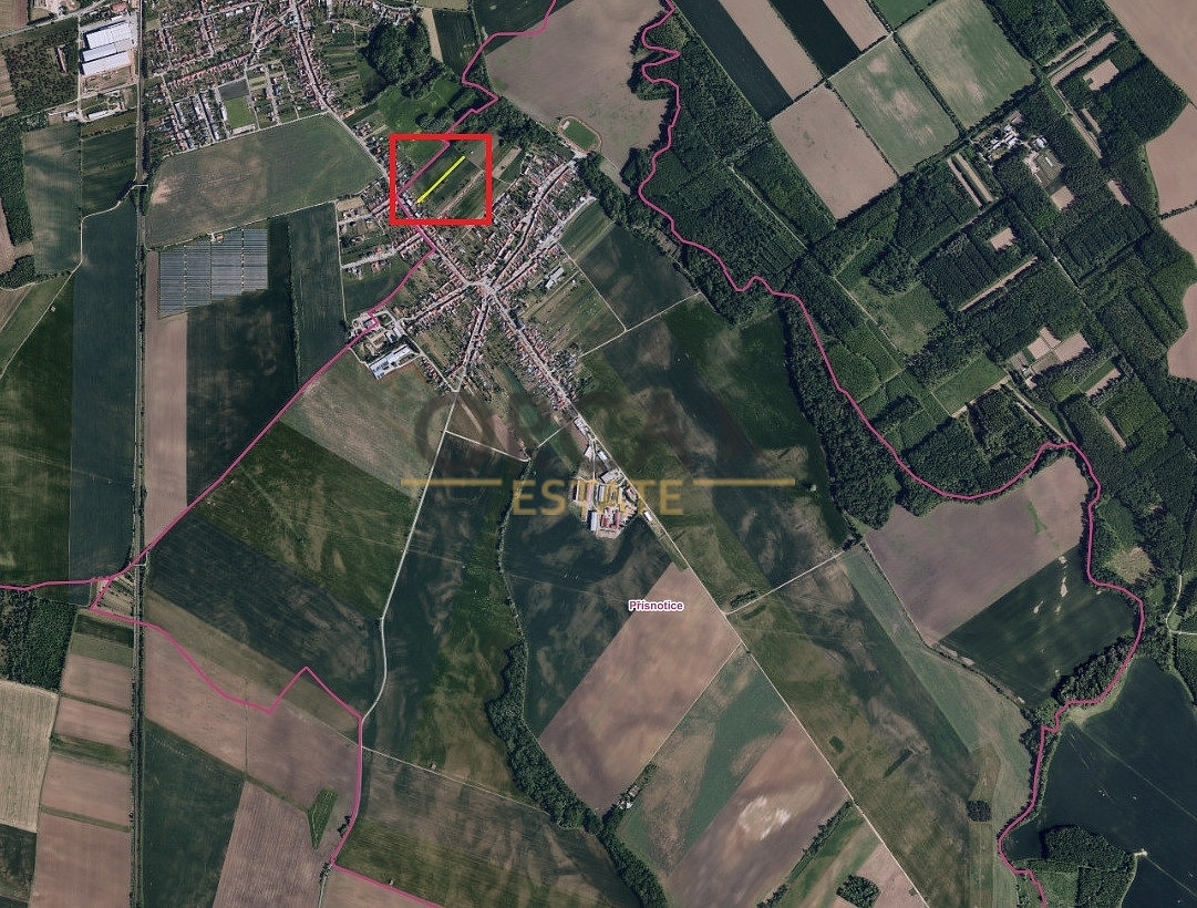 Prodej dvou pozemků o výměře 1058 m² v k. ú. Přísnotice – pohled 3