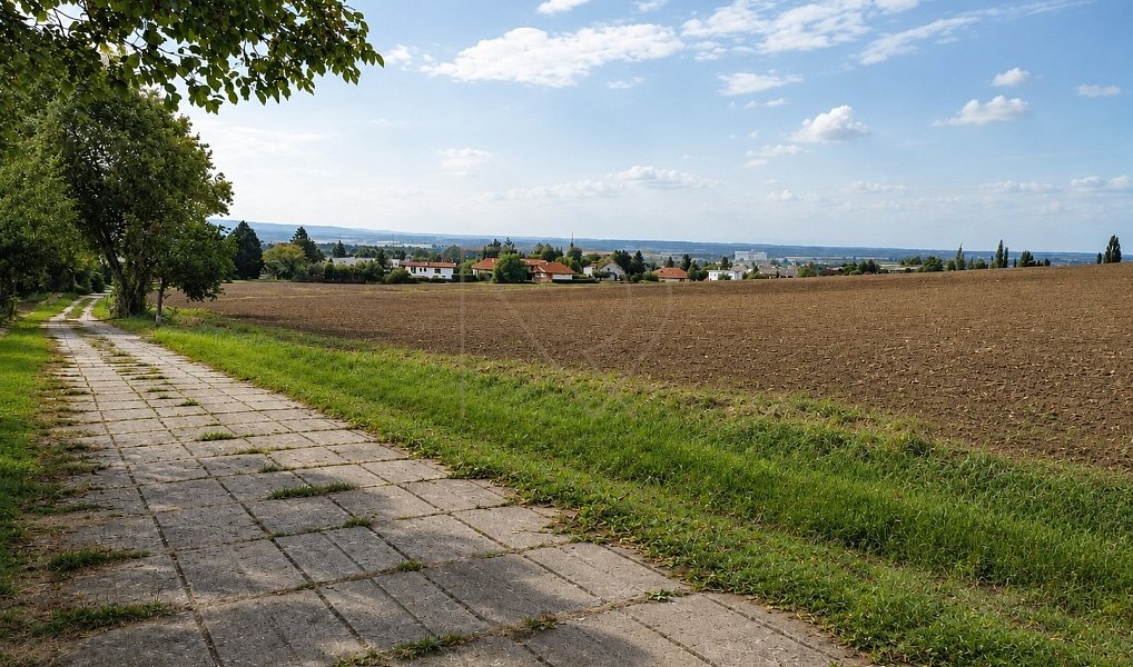 Prodej stavebního pozemku 61 763 m², Kutná Hora – náhled fotky 5