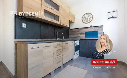 Prodej bytu 2+1 56 m², Podkrušnohorská, Litvínov - Horní Litvínov, okres Most