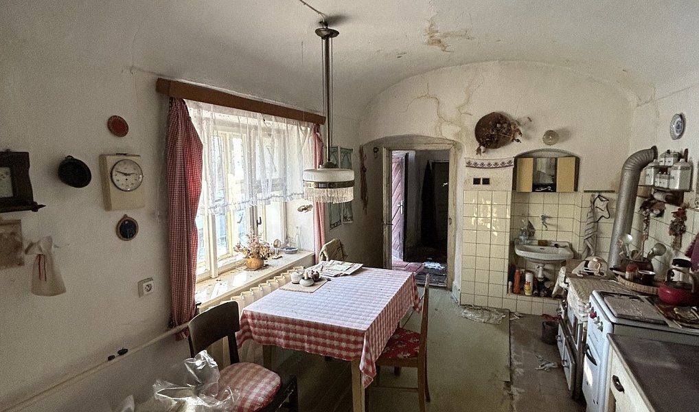 Prodej domu 380 m² s pozemkem 1 553 m², Borovnice – náhled fotky 3