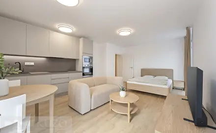 Pronájem bytu 1+kk 38 m², Auerswaldova, Brno - Zábrdovice