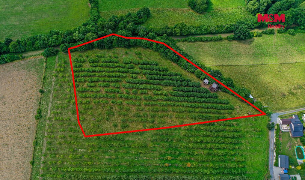 Prodej pole 9 766 m², Polom – náhled fotky 8