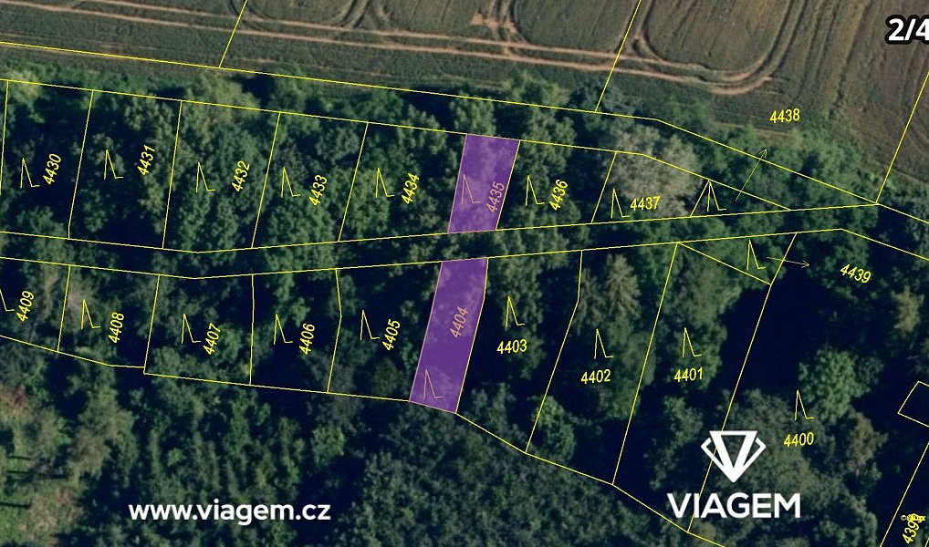Prodej lesa 4 460 m², Lukovany – náhled fotky 8