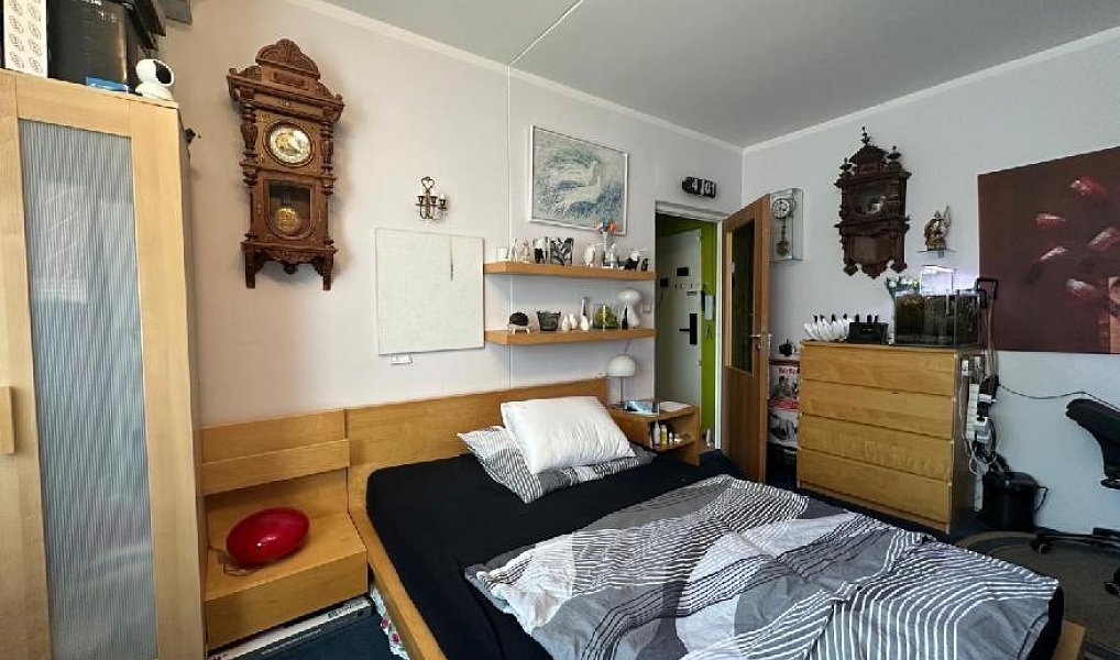 Prodej bytu 1+1 38 m², Zlín – náhled fotky 4