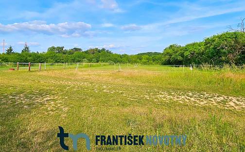 Prodej stavebního pozemku 11 538 m², Sedlička, Brno - Žebětín
