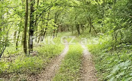 Prodej pozemku 47 568 m², Černíky, okres Kolín