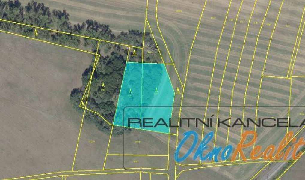 Prodej lesa 3 592 m², Velim – fotka 1 z 4