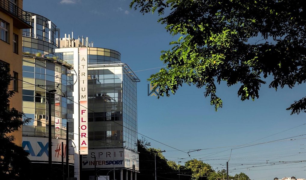 Pronájem kanceláře 505 m², Praha – náhled fotky 8