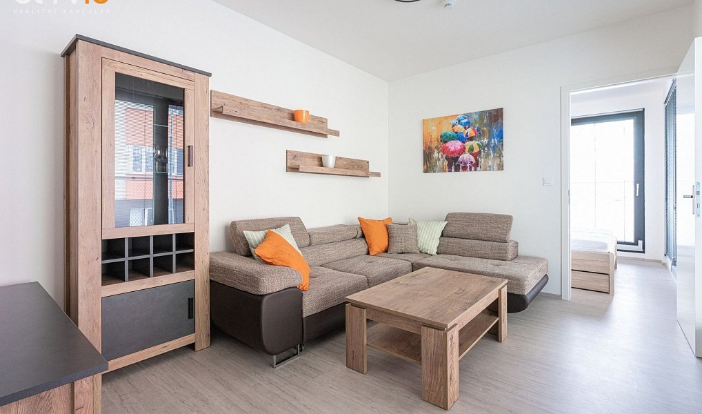 Pronájem bytu 2+1 46 m², Brno – náhled fotky 2