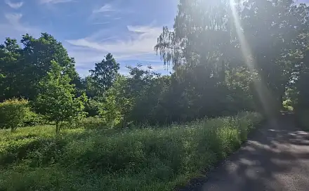 Prodej stavebního pozemku 2 930 m², Jiříkov - Filipov, okres Děčín