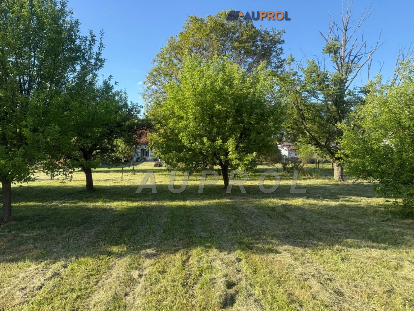 Prodej stavebního pozemku 1 901 m² — photo 3