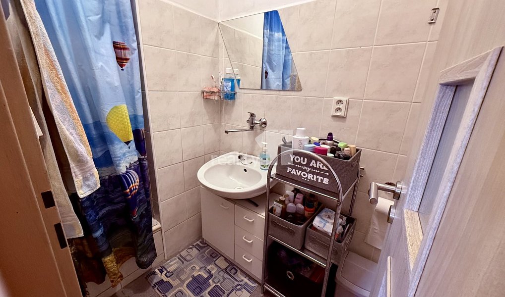 Prodej domu 240 m² s pozemkem 3 645 m², Aš – náhled fotky 39