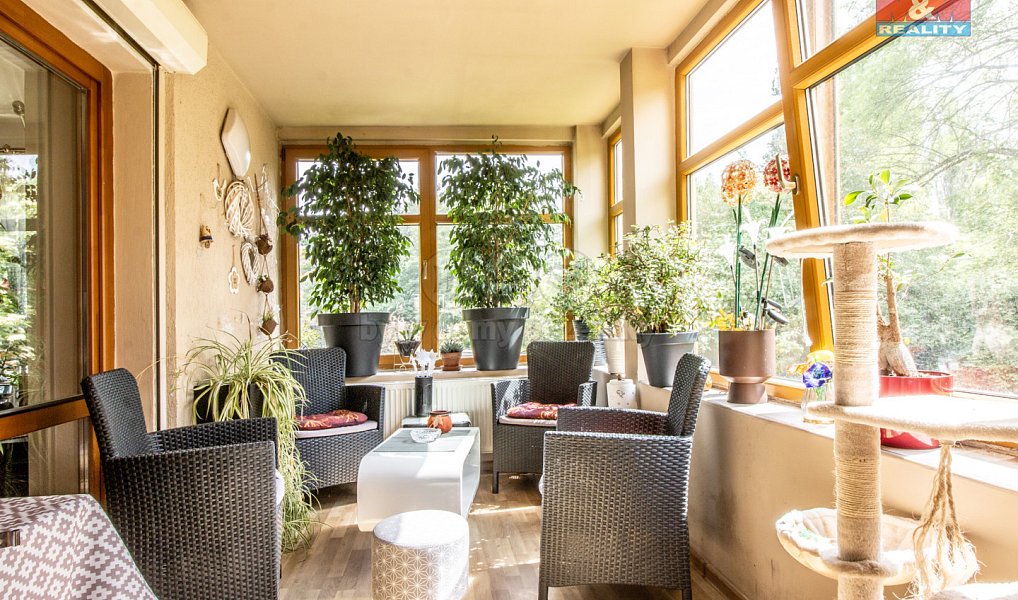 Prodej domu 250 m² s pozemkem 2 077 m², Nový Bor – náhled fotky 8