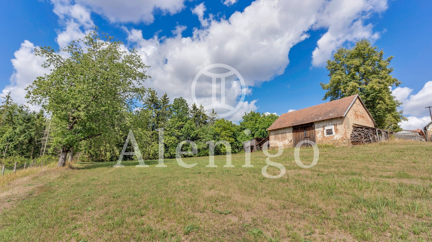 Fotka 15 z 16