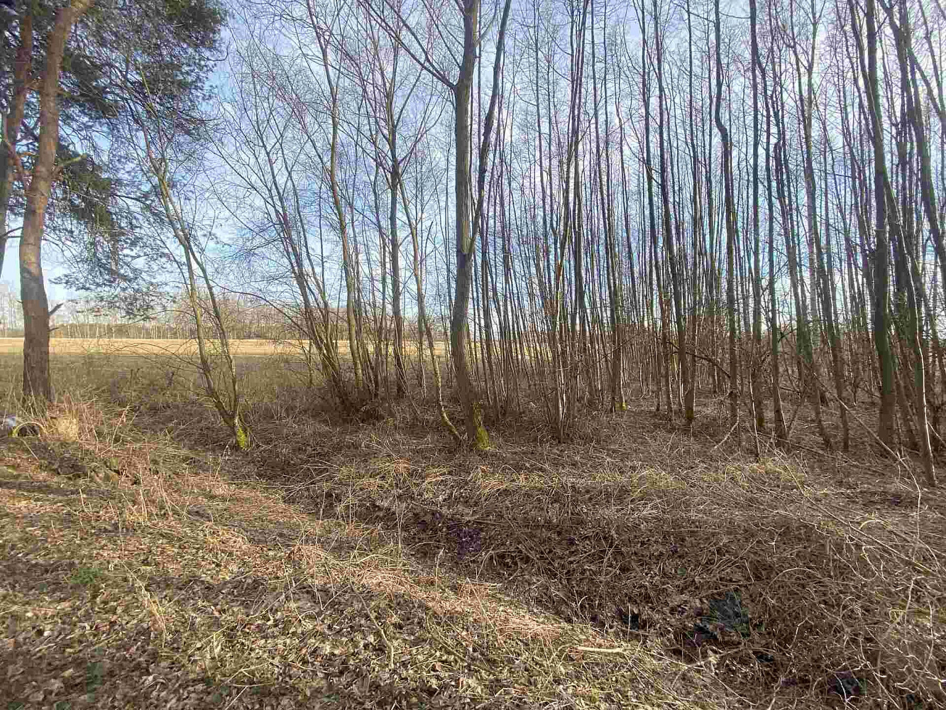 Prodej pozemku 1 109 m² – fotografie 2