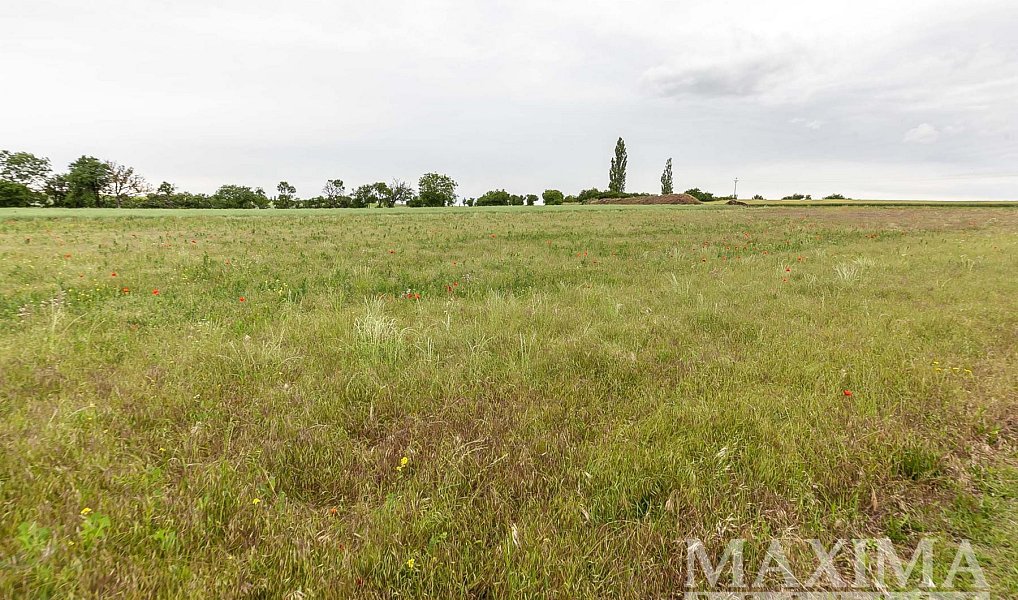 Prodej stavebního pozemku 1 208 m², Číčovice – náhled fotky 20