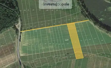 Prodej pole 3 000 m², Neurazy - Vojovice, okres Plzeň-Jih