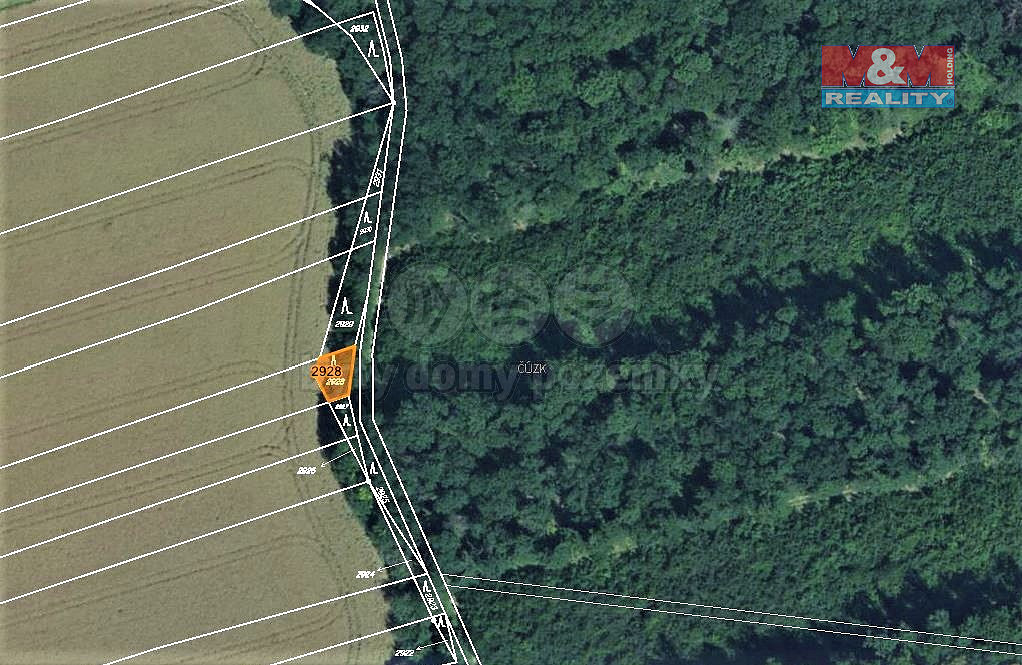 Prodej lesa 102 m² – pohled 4