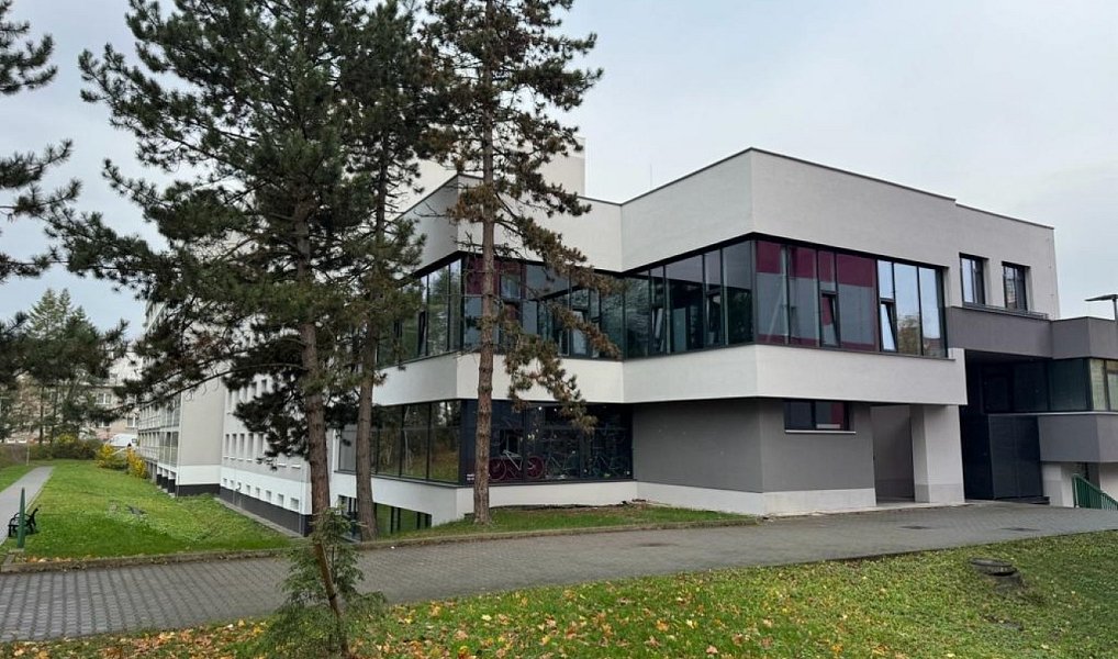 Pronájem obchodních prostor 263 m², Nový Jičín – náhled fotky 3