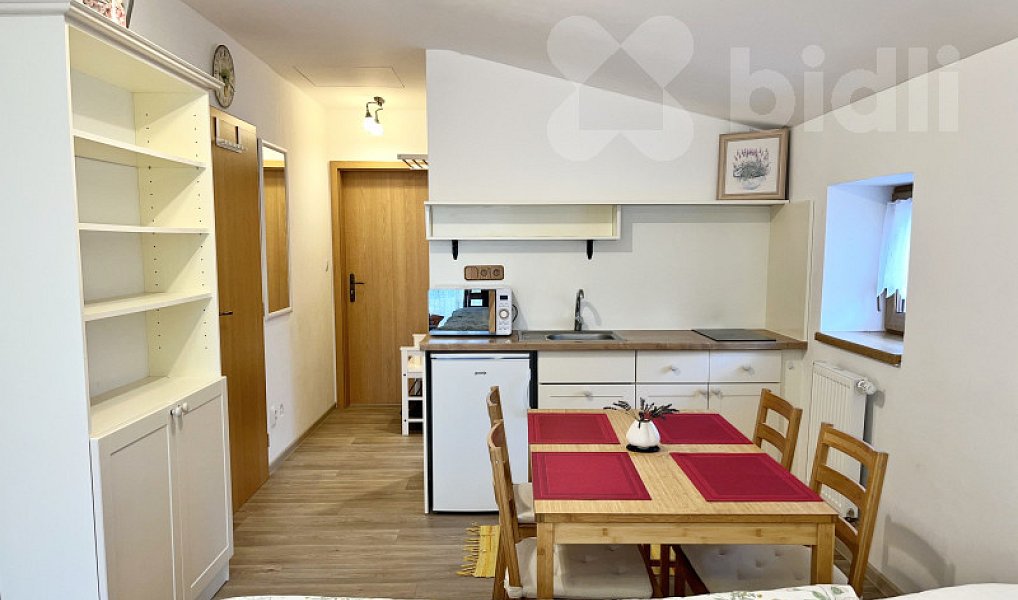 Pronájem bytu 1+kk 25 m², Trhové Sviny – náhled fotky 4