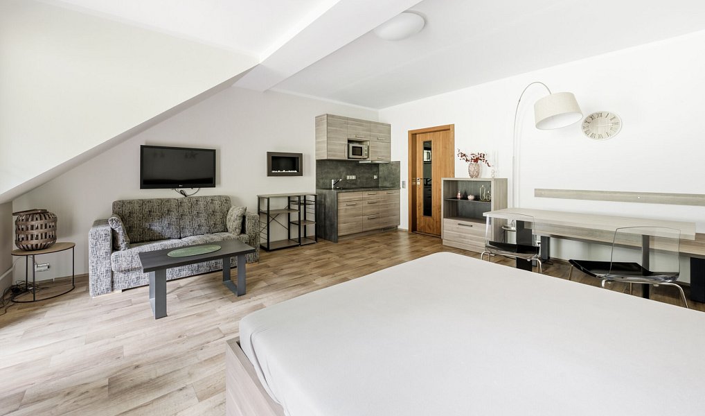 Prodej bytu 1+kk 40 m², Železná Ruda – náhled fotky 9