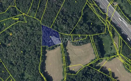 Prodej lesa 4 613 m², Kunice - Všešímy, okres Praha-východ