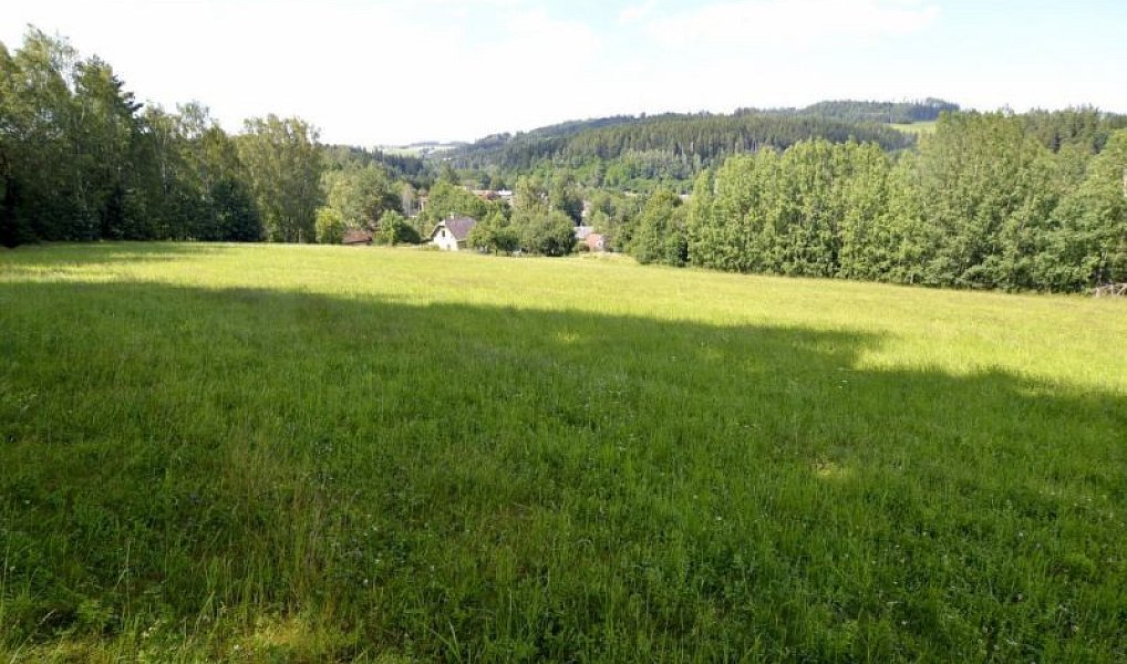Prodej pole 47 177 m², Stará Paka – náhled fotky 3