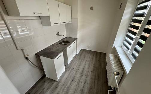 Pronájem bytu 1+1 31 m², Okružní, Meziboří, okres Most