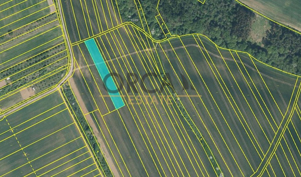 Prodej pole 17 736 m², Březolupy – náhled fotky 5