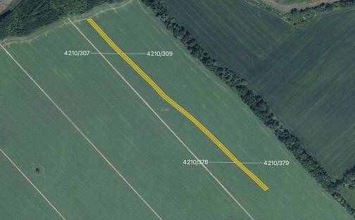 Prodej pole 6 241 m², Moravská Nová Ves, okres Břeclav