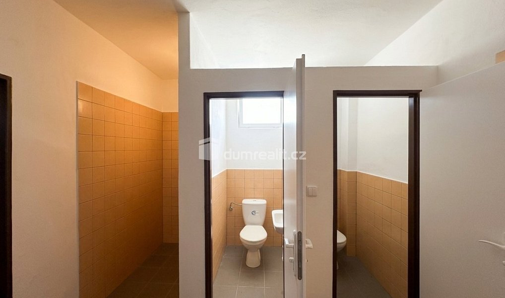 Pronájem výrobních prostor 292 m², Podivín – náhled fotky 8