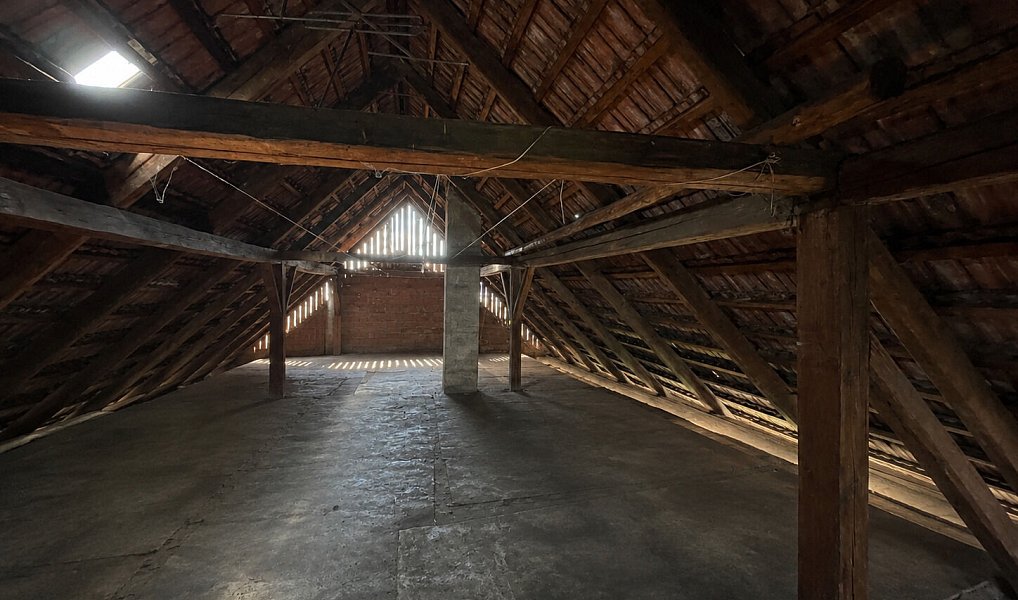 Prodej domu 100 m² s pozemkem 1 416 m², Horní Jelení – náhled fotky 21