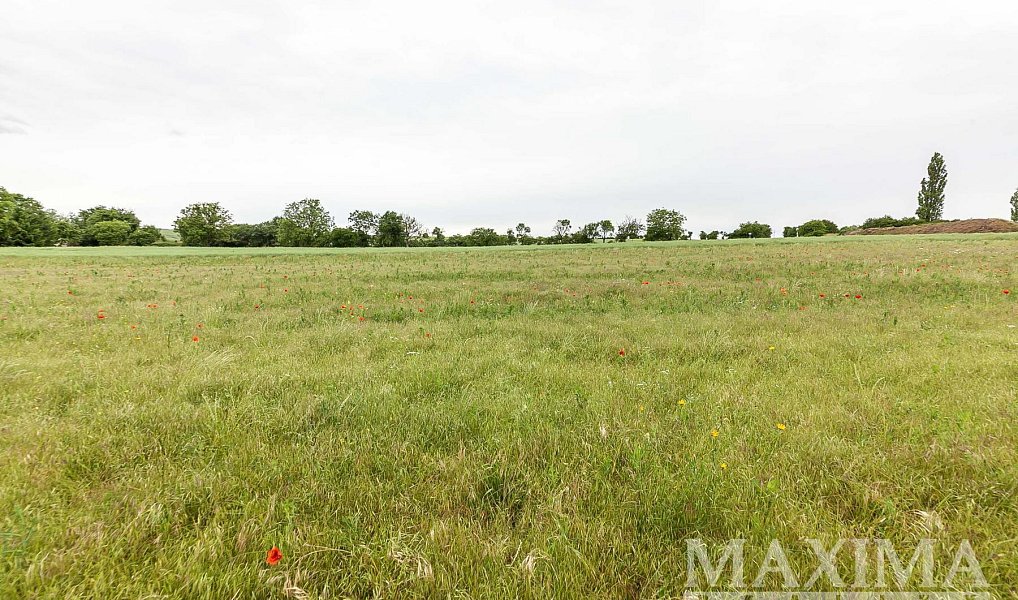 Prodej stavebního pozemku 1 208 m², Číčovice – náhled fotky 21