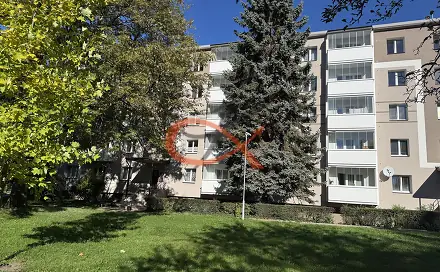 Pronájem bytu 3+1 60 m²