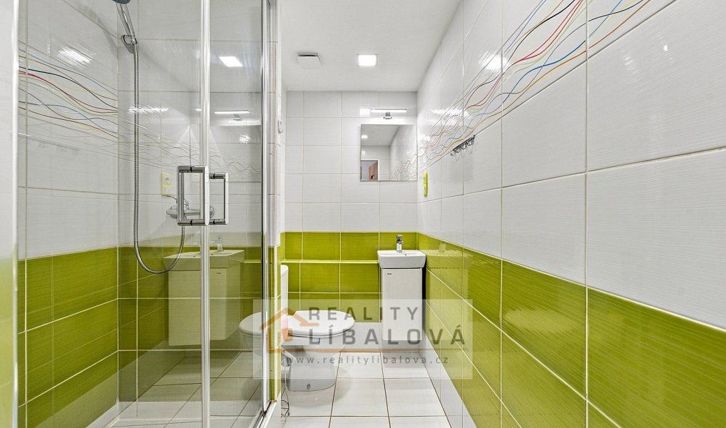 Pronájem bytu 1+kk 20 m², Ústí nad Labem – náhled fotky 9