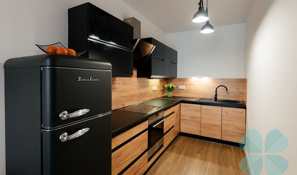 Pronájem bytu 2+kk 67 m², Plzeň – náhled fotky 8