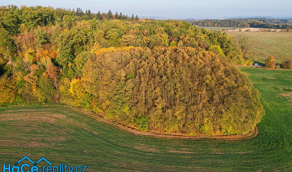 Prodej lesa 5 655 m², Solnice – náhled fotky 3