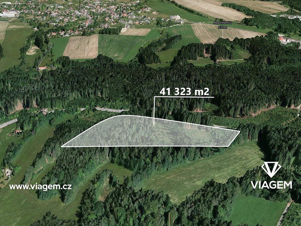 Prodej lesa 41 323 m²