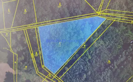Prodej lesa 5 127 m², Rasošky, okres Náchod