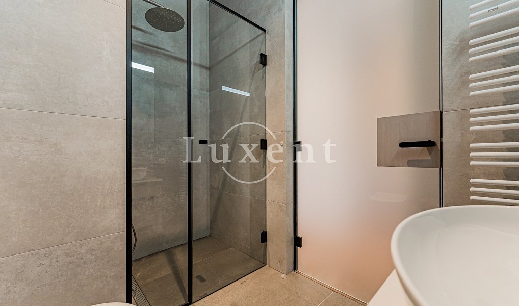 Pronájem bytu 3+kk 145 m², Praha – náhled fotky 12