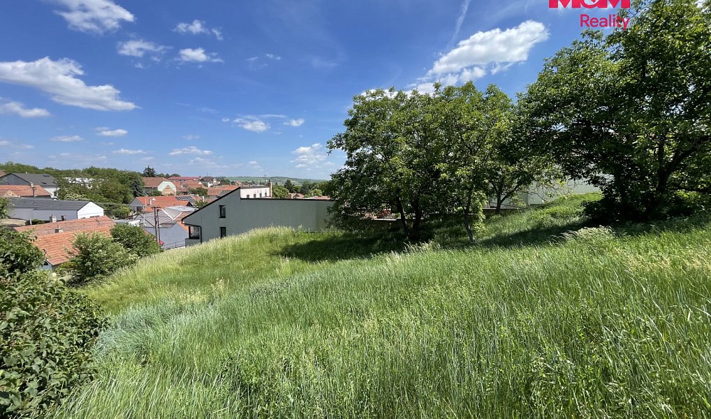 Prodej stavebního pozemku 7 245 m², Holubice – náhled fotky 9