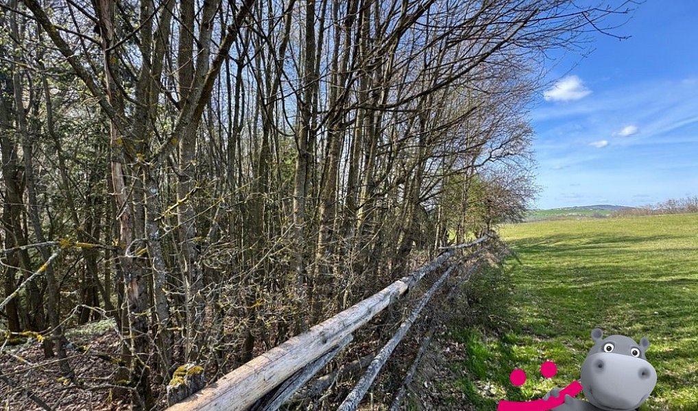 Prodej lesa 3 109 m², Luhačovice – náhled fotky 4