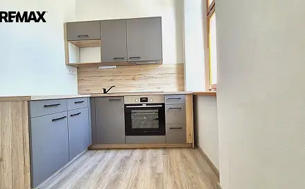 Pronájem bytu 1+1 45 m², Palachova, Litoměřice - Předměstí