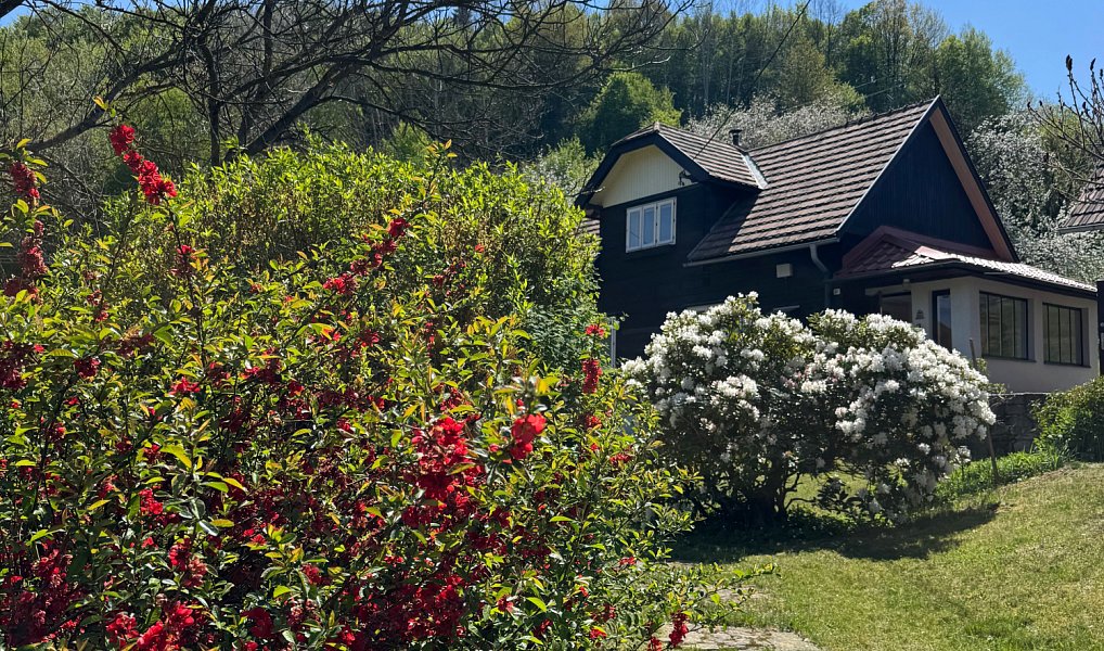 Prodej chaty/chalupy 87 m² s pozemkem 2 247 m², Lužná – náhled fotky 2