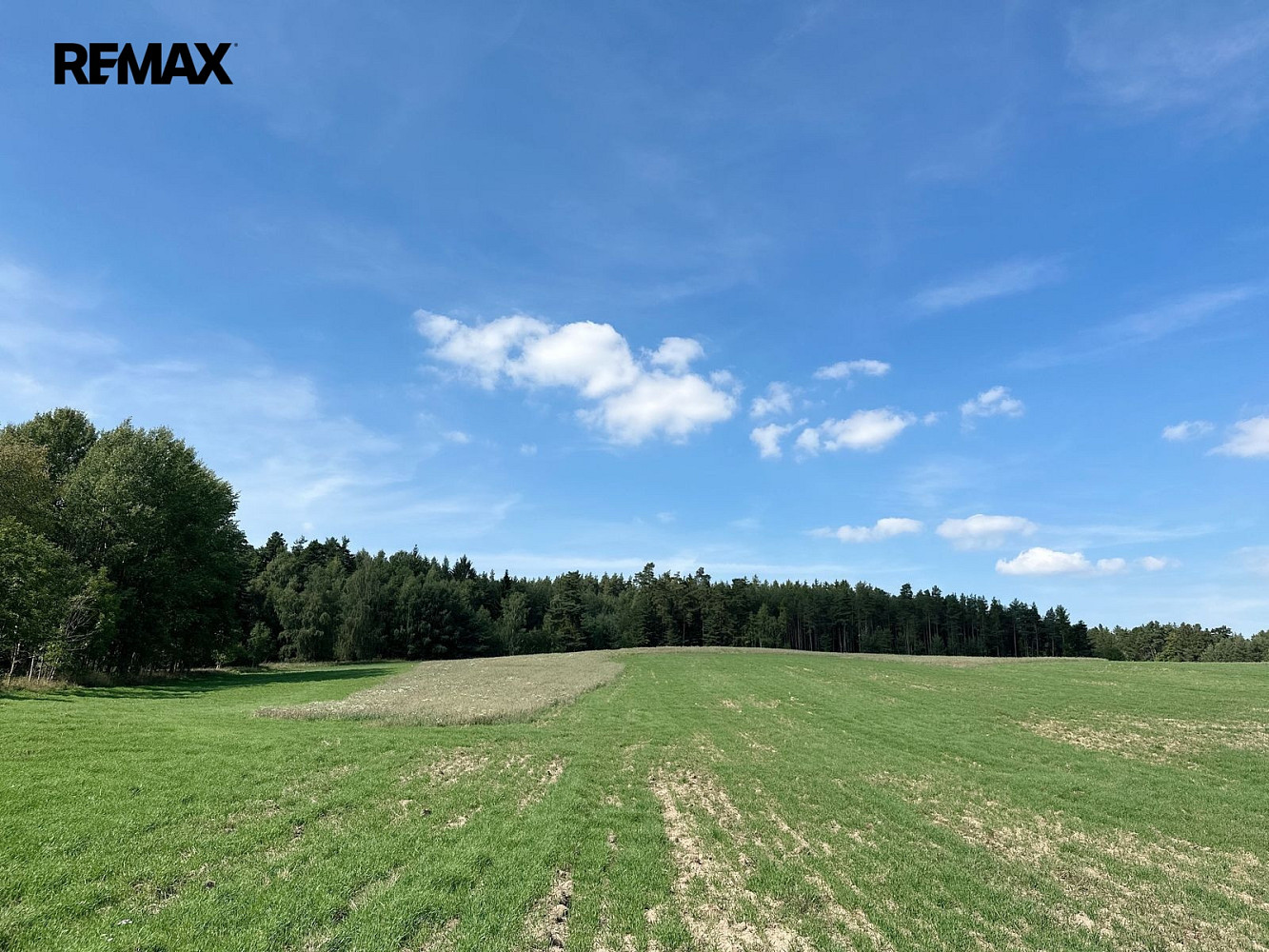 Prodej lesa 12 651 m² – fotografie 4