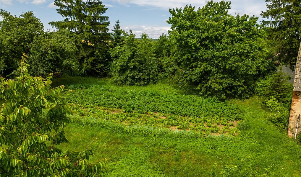 Prodej stavebního pozemku 1 287 m², Martínkov – náhled fotky 2