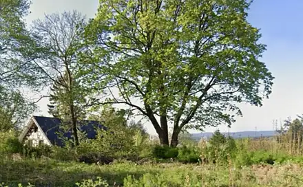 Prodej stavebního pozemku 916 m², Tři Sekery, okres Cheb